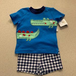 Shirt and Short Set Boys Size 9 Mo